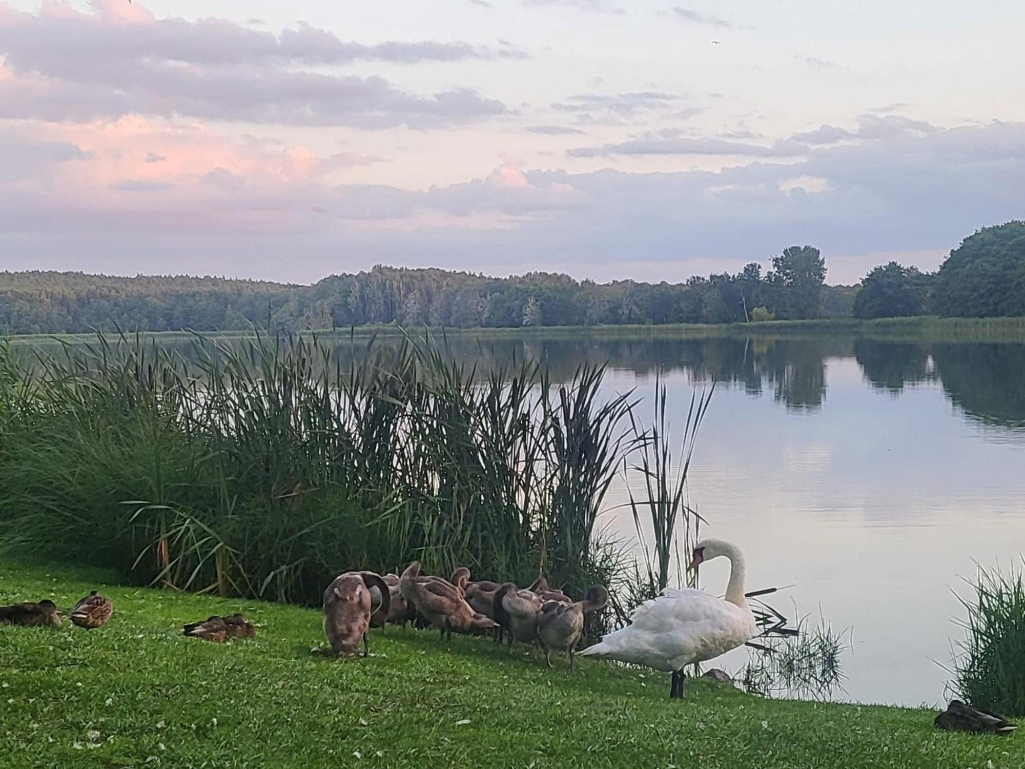 Hotel Karl'S Burg Kölpinsee Esterno foto
